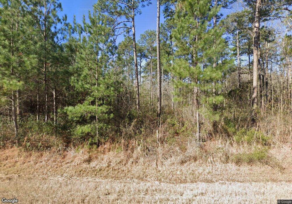 336 Lloyd Rd, Meigs, GA 31765 - photo 1