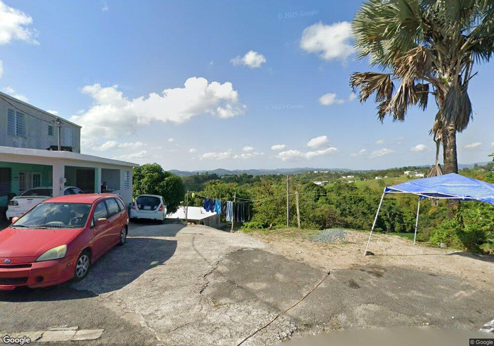 Carr 916, San Lorenzo, PR 00754 - photo 1