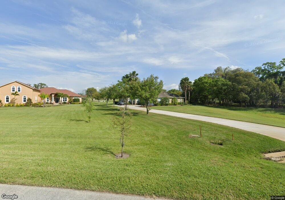 13021 McIntosh Lakes Ln, Dover, FL 33527 - photo 1