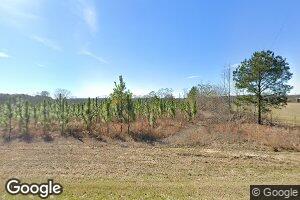175 County Road 79 S, Clayton, AL 36016