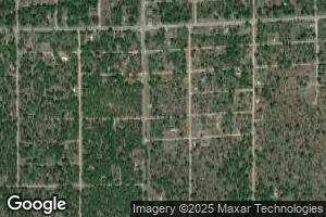 40 E Lexington Ave, Idlewild, MI 49642