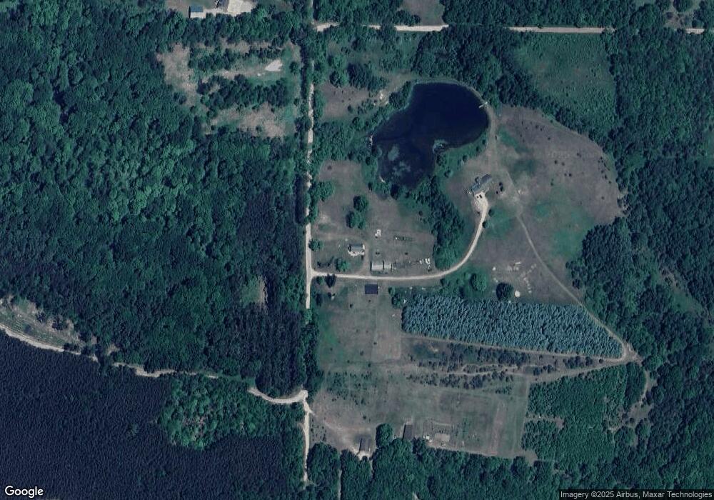 12642 Maple Island Rd, Bitely, MI 49309 - photo 1