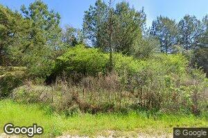 452 Chocktaw Rd, Carson, MS 39427