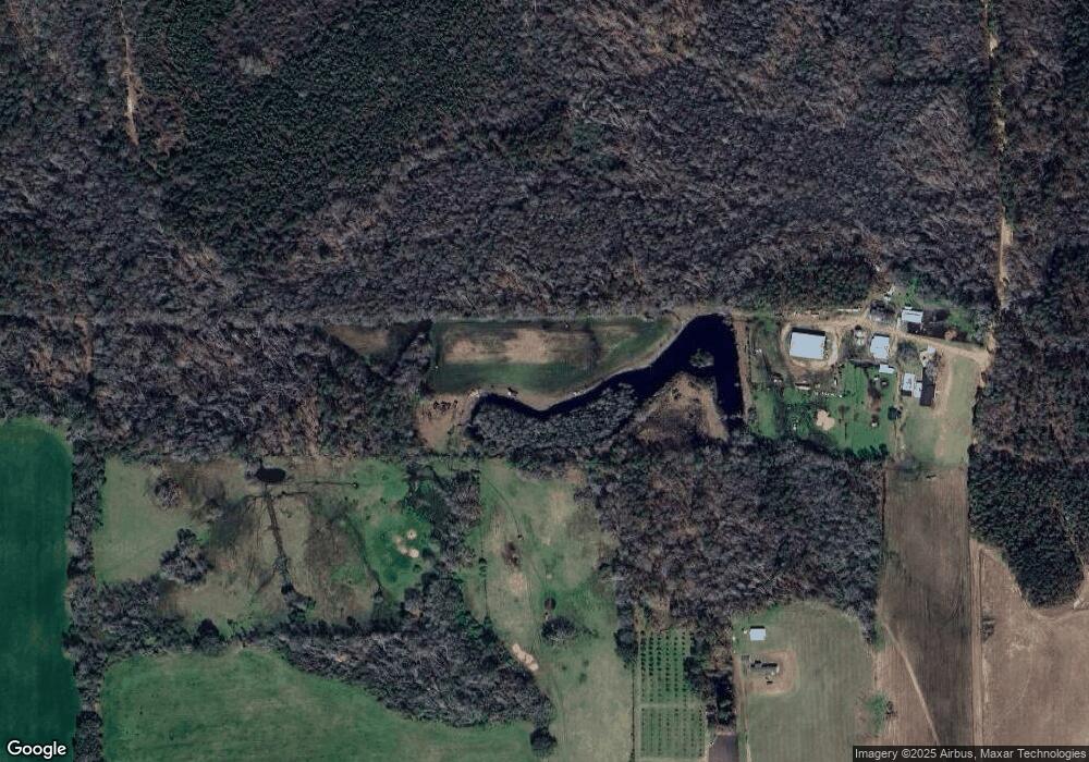 2227 Palmetto Rd, Ambrose, GA 31512 - photo 1