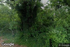 5549 Galestown Reliance Rd, Rhodesdale, MD 21659