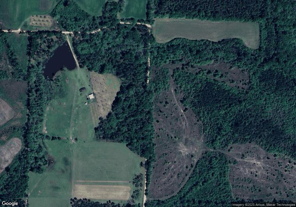 447 Chatfield Rd, Wray, GA 31798 - photo 1