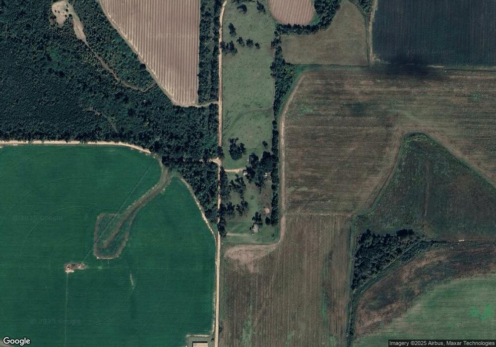 1100 Tom Tabb Rd, Damascus, GA 39841 - photo 1