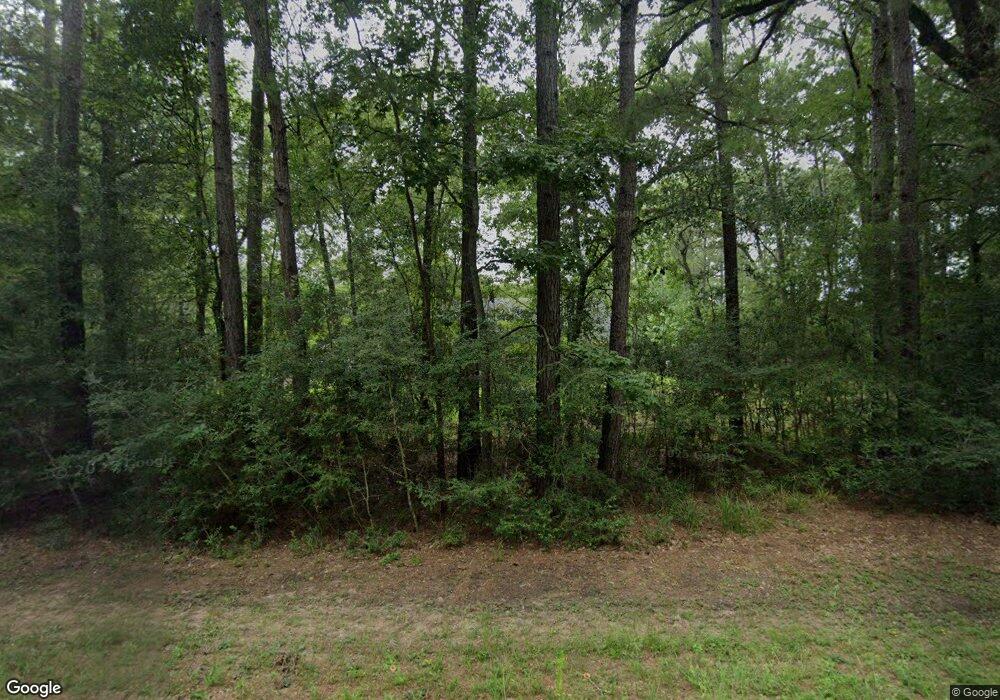 31311 Chelsie Place, Magnolia, TX 77354 - photo 1