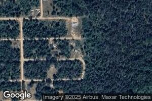 194 E Buckley, Idlewild, MI 49642