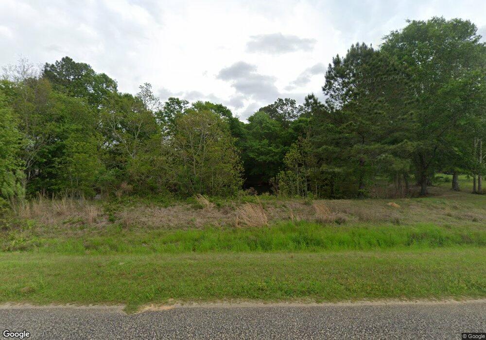 886 Old Newton Rd, Pelham, GA 31779 - photo 1