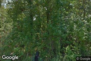 150 Ida Dr, Pennington, AL 36916