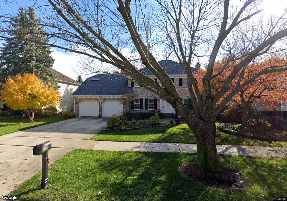 539 Flock Ave, Naperville, IL 60565 - photo 1