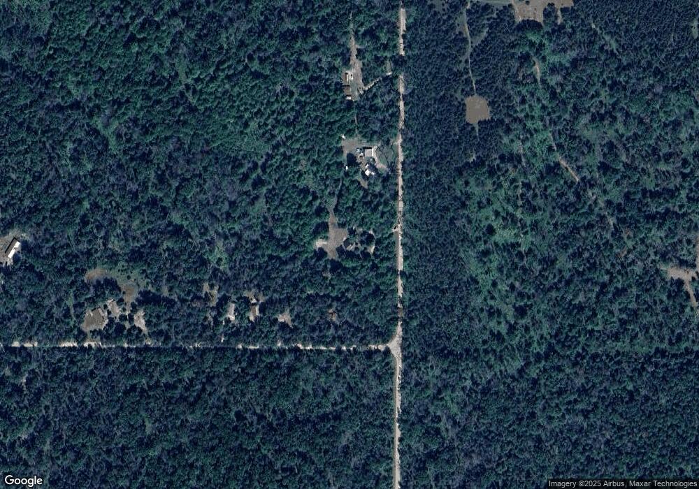 14059 N Gordon Ave, Bitely, MI 49309 - photo 1