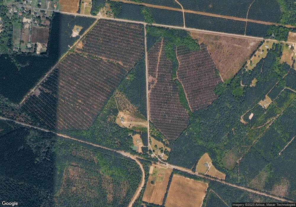 14 Acres Duncan Place unit Kent Section, Andrews, SC 29510 - photo 1