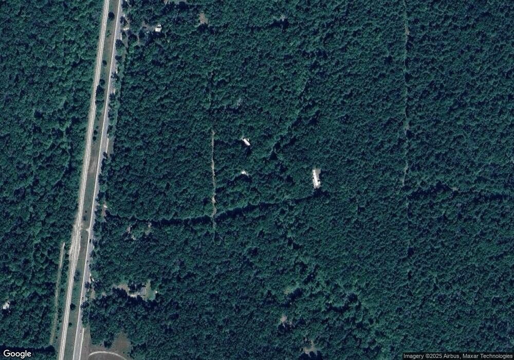 13344 N Cedar Trail, Bitely, MI 49309 - photo 1