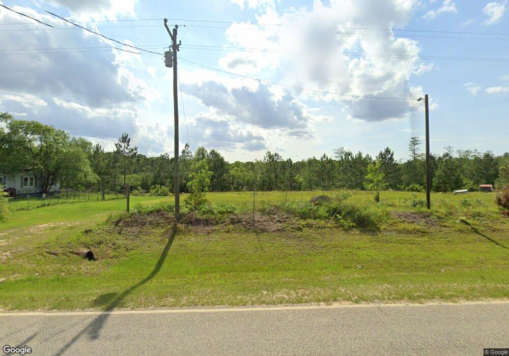 245 David Newton Rd, Norman Park, GA 31771 - photo 1