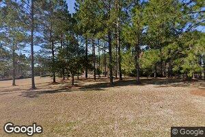 3719 Thompson Pond Rd, Tarrytown, GA 30470