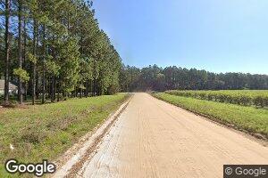 60 Hickory Ln, Nicholls, GA 31554