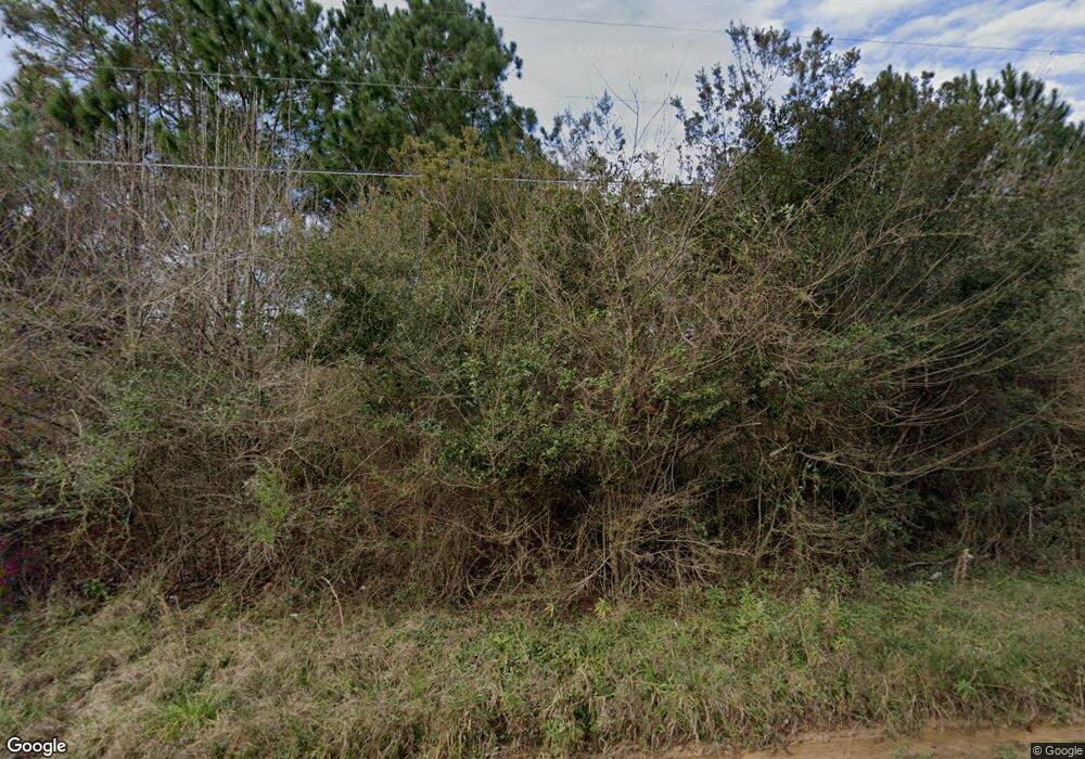 157 Omega Eldorado Rd, Lenox, GA 31637 - photo 1