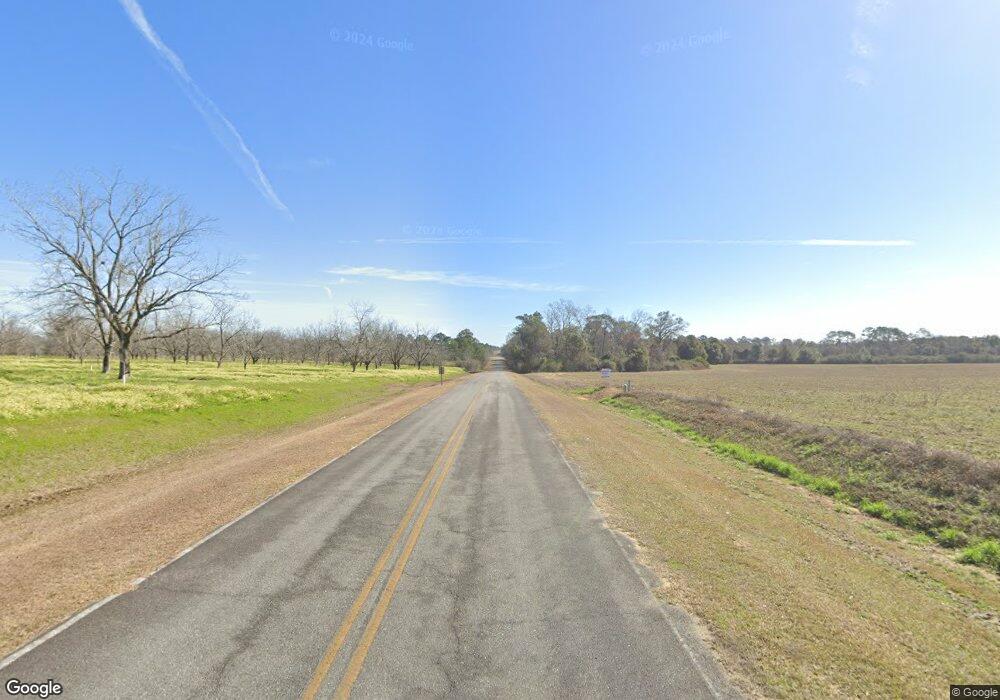 0 Us Highway 19 North and Palmer Rd unit 10303888, Meigs, GA 31765 - photo 1