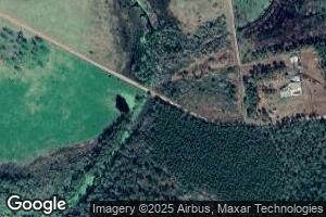 3699 Ice Plant Rd, Willacoochee, GA 31650