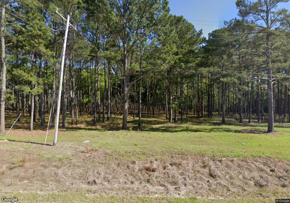 1009 Douthit Rd, Sylvester, GA 31791 - photo 1