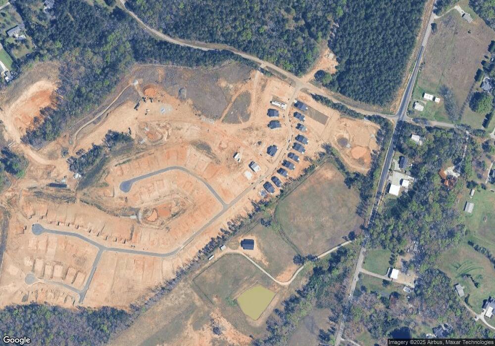 250 Chapin Place Way, Chapin, SC 29036 - photo 1