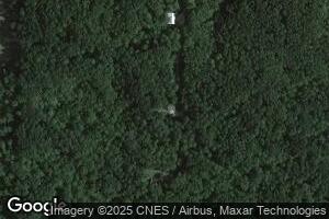 5841 Timber Trail, Pellston, MI 49769