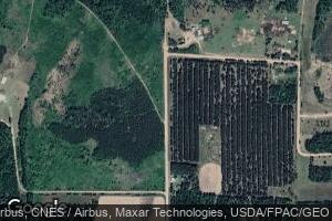11635 11635 450th Ave, Wannaska, MN 56761