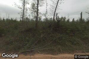 1147 Tunnel Hill Rd, Peterman, AL 36471