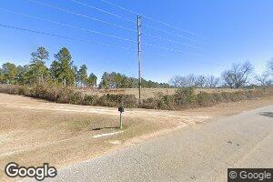 2794 Open Pond Rd, Whigham, GA 39897
