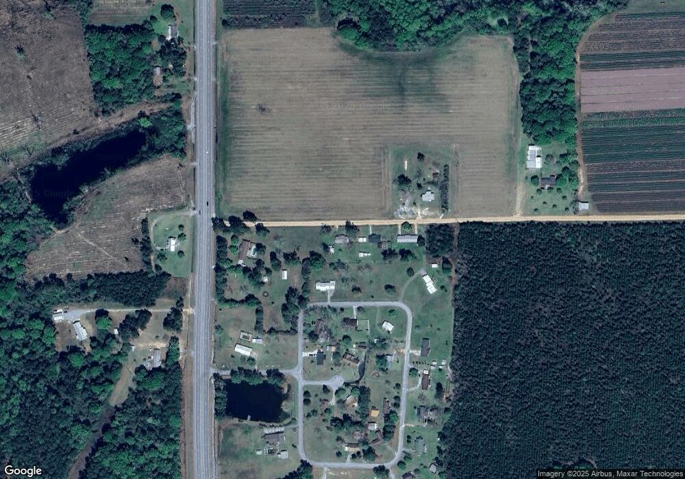 123 Ocelot Rd, Alma, GA 31510 - photo 1