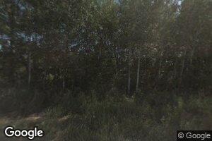 15810 190th Ave, Leroy, MI 49655
