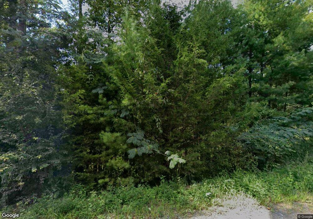 10513 Old Ccc Camp Rd, Ellijay, GA 30540 - photo 1