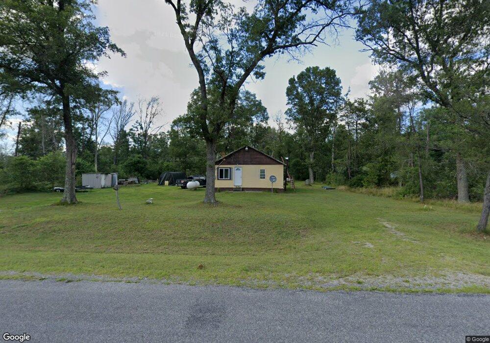 390 W 76th St, Baldwin, MI 49304 - photo 1