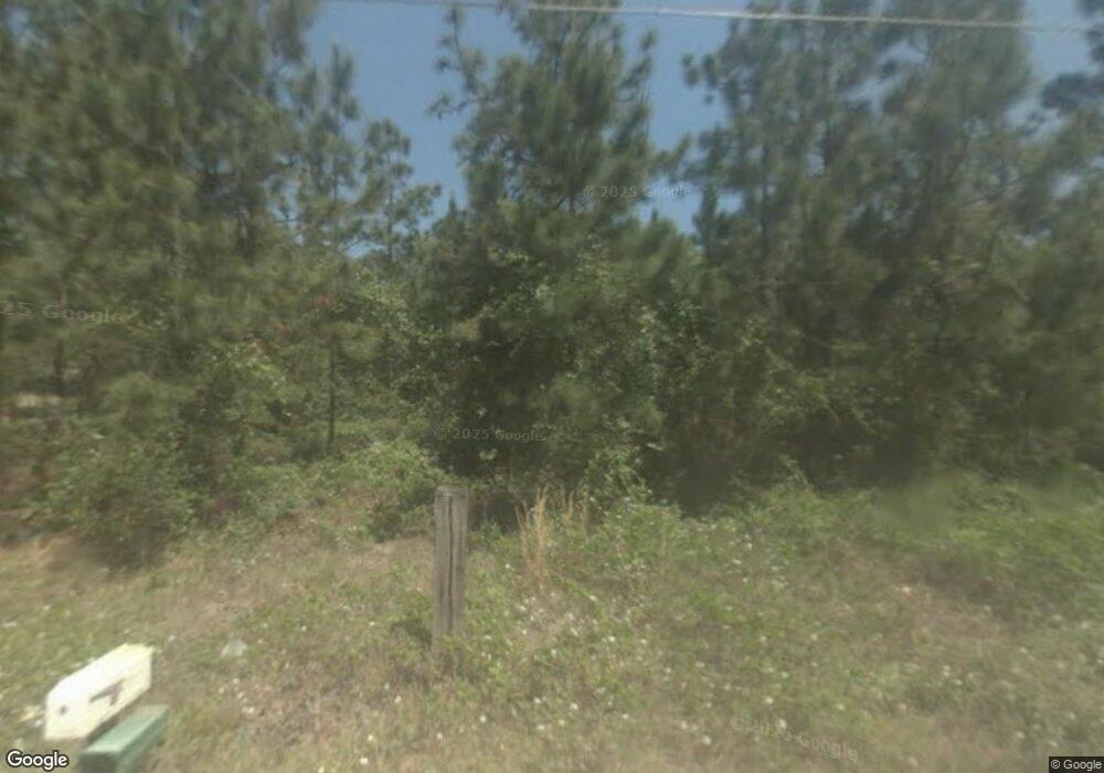 3836 Aspinwall Ln, Blackshear, GA 31516 - photo 1