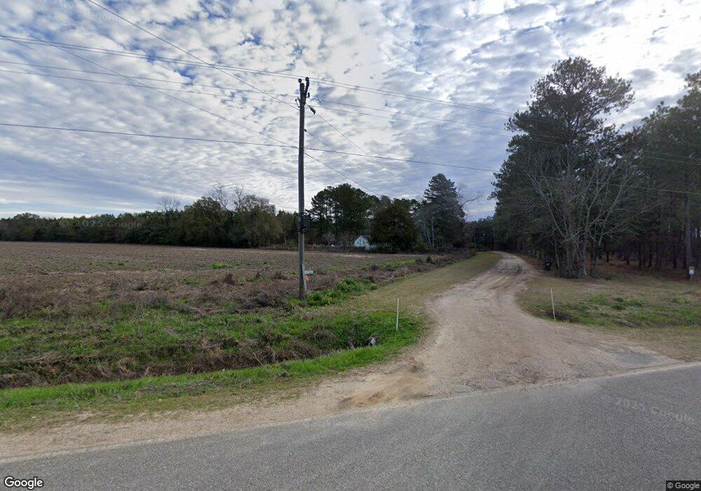 3669 Lake Douglas Rd, Climax, GA 39834 - photo 1