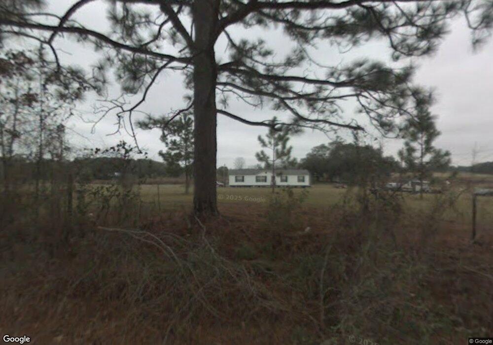 5684 Raccoon Rd, Pelham, GA 31779 - photo 1