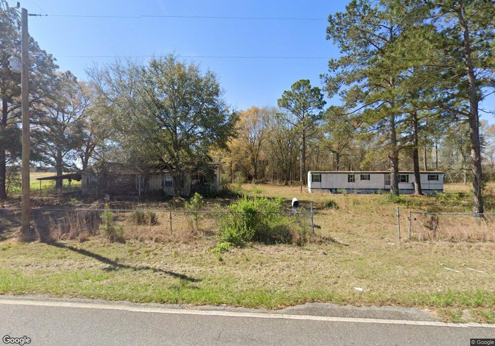 3194 Judge Lott Rd, Lenox, GA 31637 - photo 1