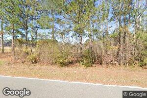 553 Lawrence Sherrod Rd, Midville, GA 30441