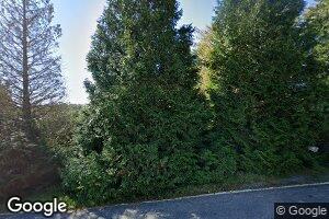 3607 Old Lowgap Rd, Lowgap, NC 27024