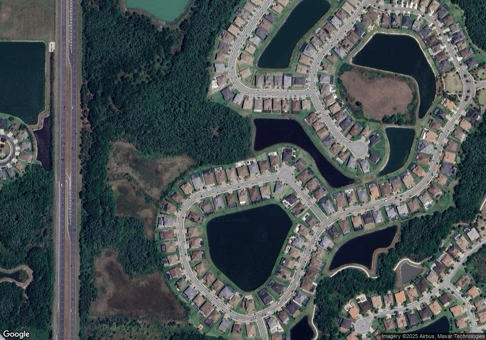 28438 Picana Ln, Wesley Chapel, FL 33543 - photo 1