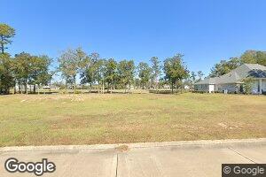 30707 Wild Iris Way, Springfield, LA 70462