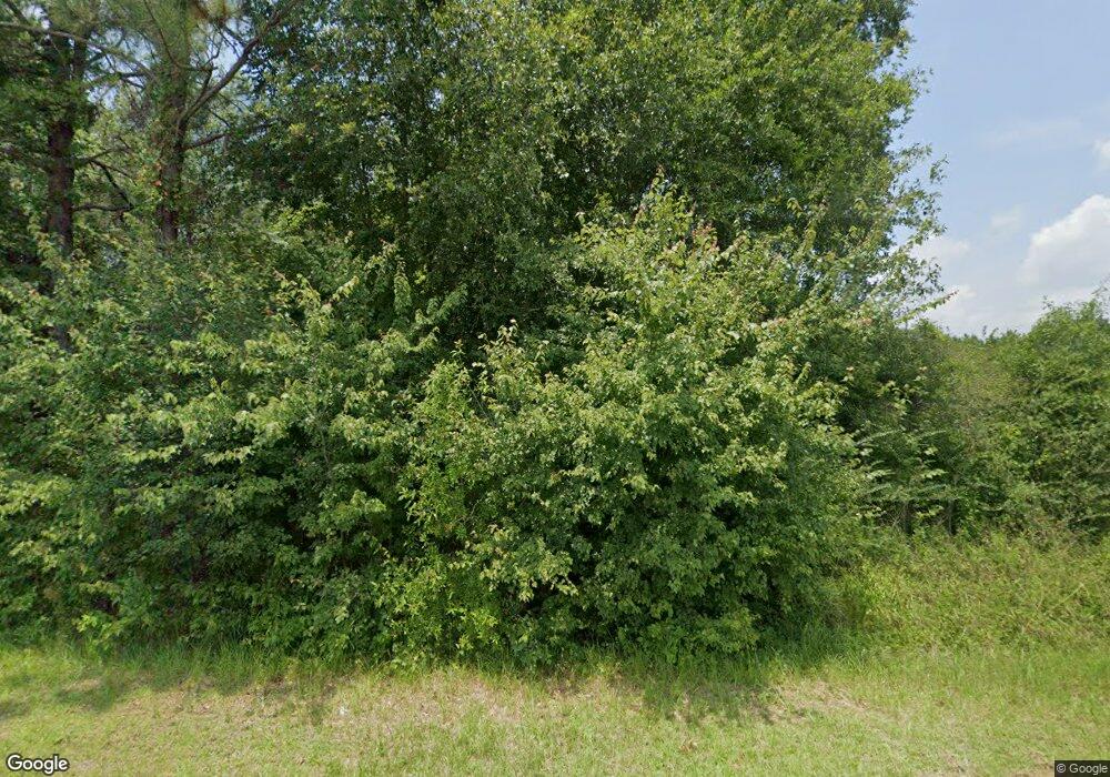 2954 Lambtown Rd, Vienna, GA 31092 - photo 1