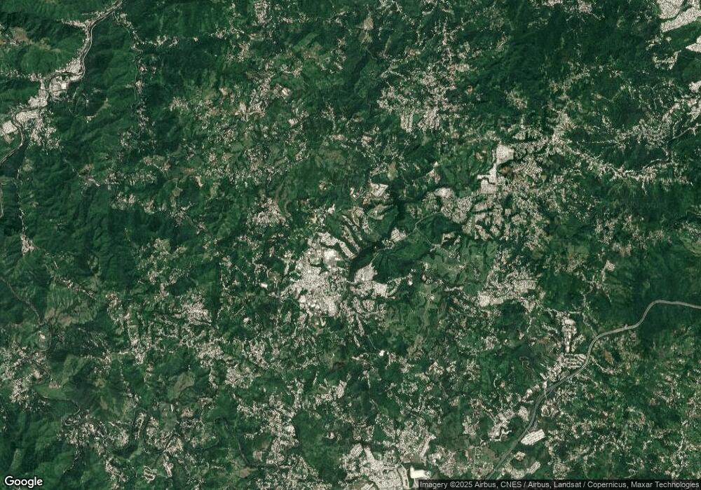 Carr 787 Bo Bayamòn unit Km. 4.4, Cidra, PR 00739 - photo 1