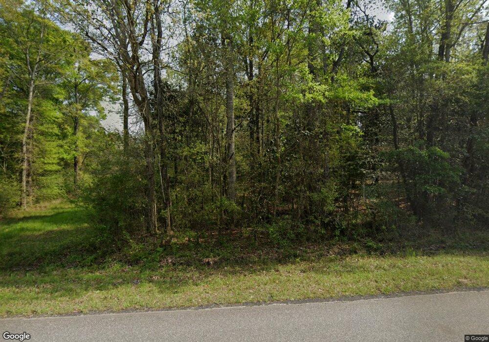 915 Tired Creek Rd, Whigham, GA 39897 - photo 1