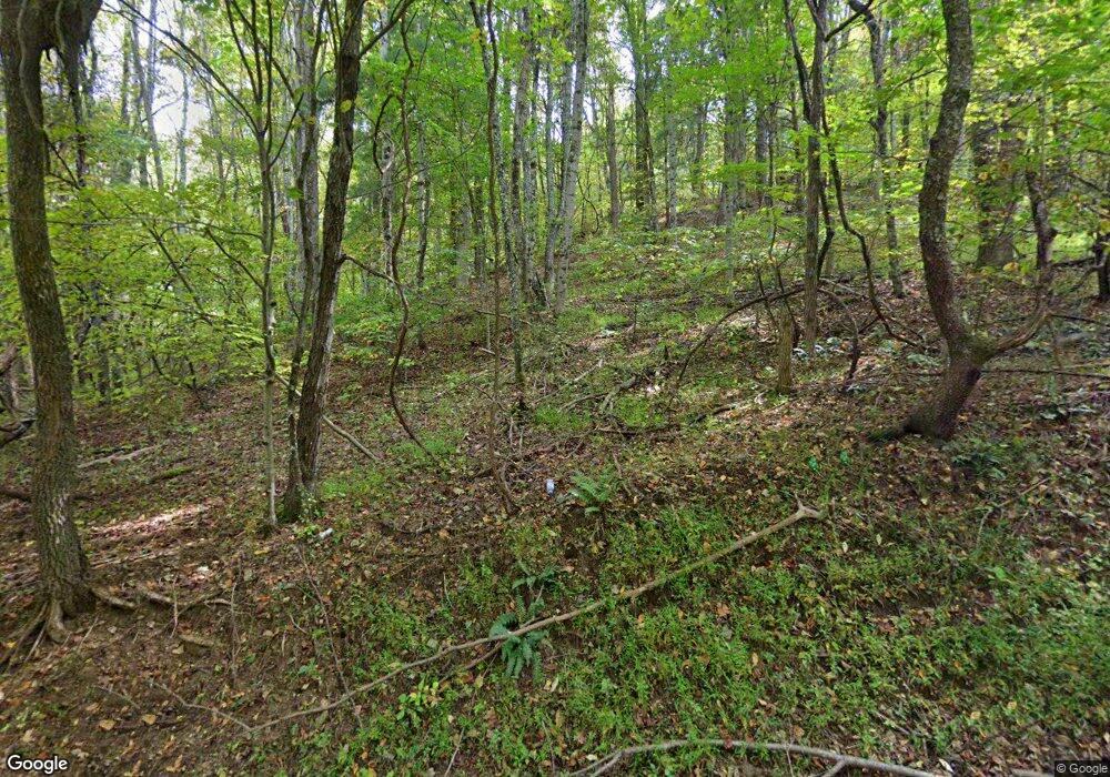 998 Coffeytown Rd, Vesuvius, VA 24483 - photo 1