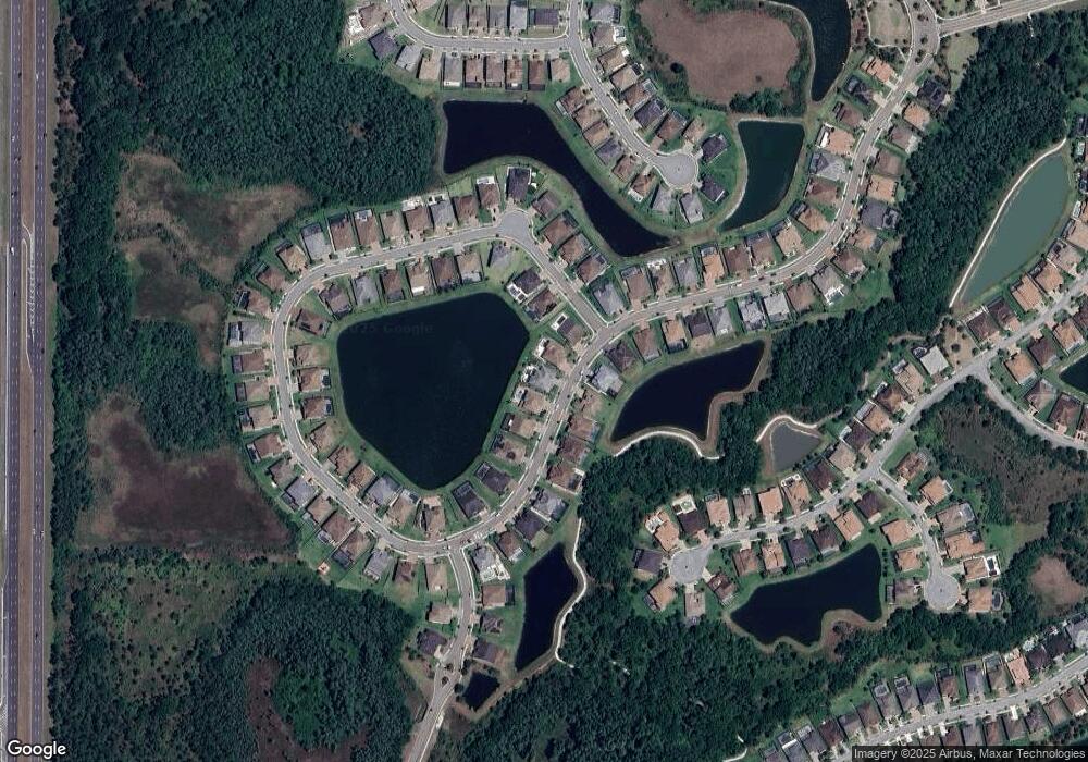 28935 Picana Ln, Wesley Chapel, FL 33543 - photo 1