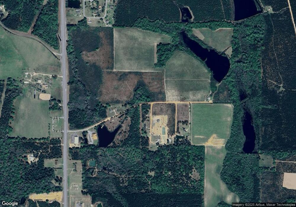 0 Muskrat Rd unit 8211779, Alma, GA 31510 - photo 1