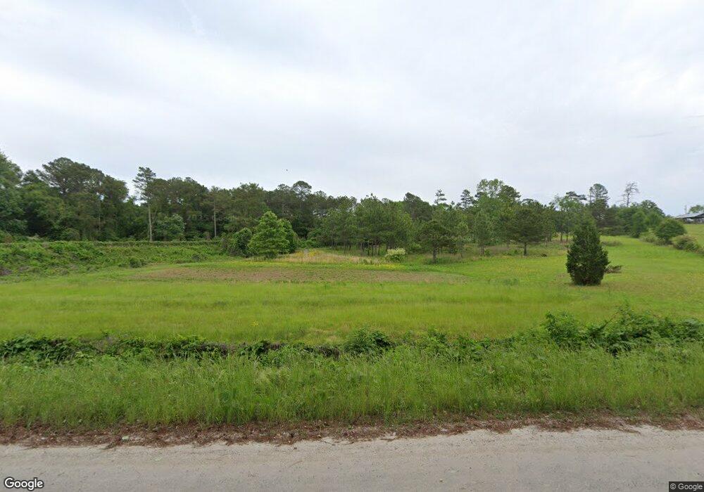 42 S Little New York Trail, Whitesburg, GA 30185 - photo 1